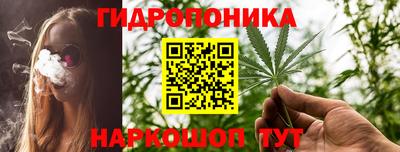 амф Славгород