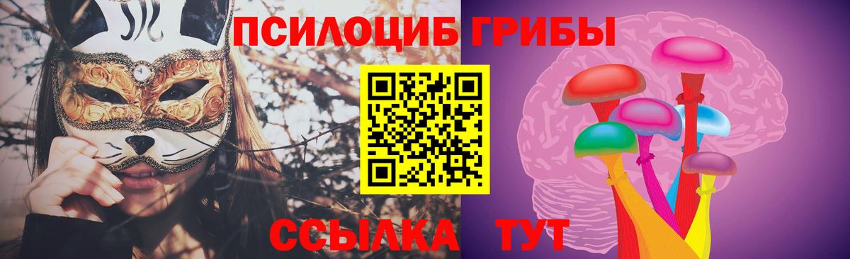 Галлюциногенные грибы мицелий  Вход с VPN  Псилоцибиновые грибы Psilocybe  Нижнеудинск 